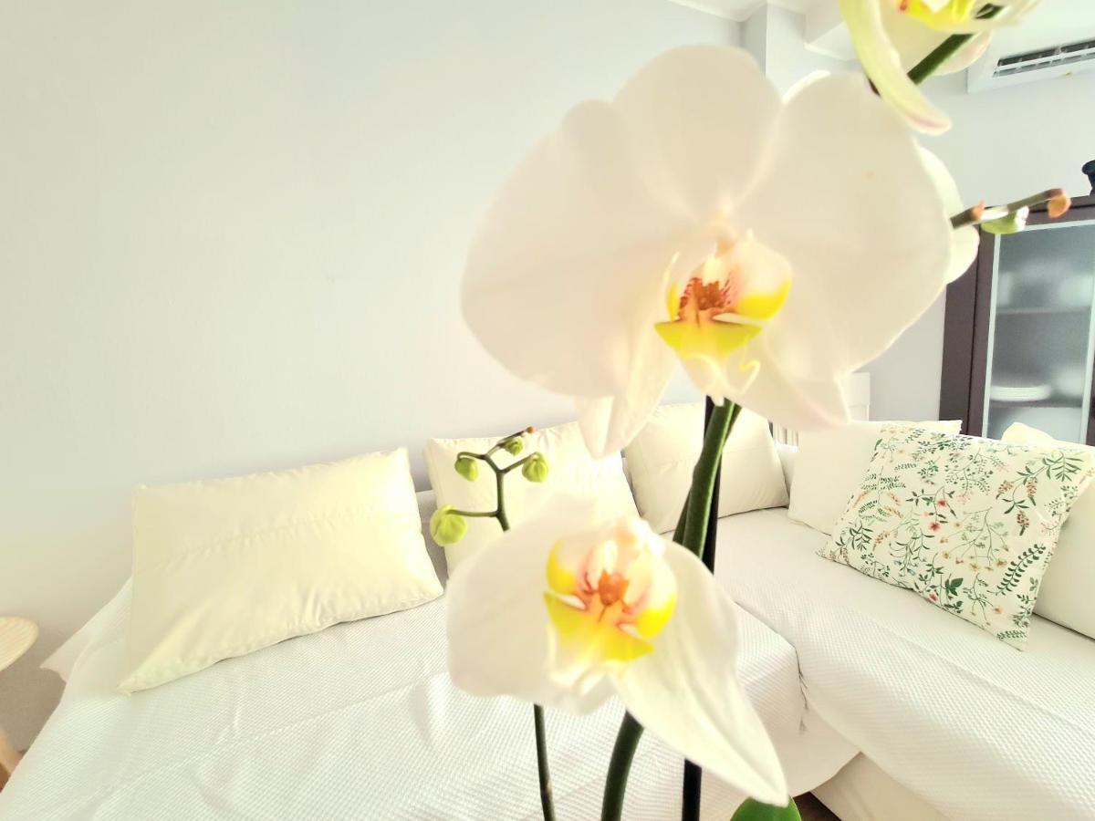 Aa Guest - El Mono De Torre Del Mar Eco Apartment Extérieur photo